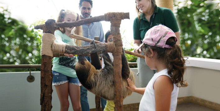 List of indoor kids activities in the UAE for summer 2023 | The Green Planet Dubai List of indoor kids activities in the UAE for summer 2023 | The Green Planet Dubai